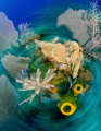   whirl  